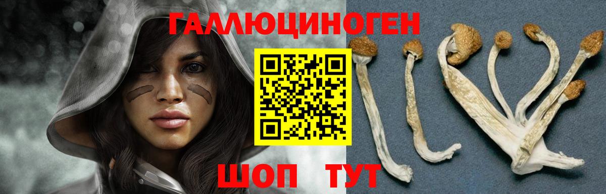 Краснодар  Псилоцибиновые грибы ЛСД  Галлюциногенные грибы мухоморы  Вход с VPN 