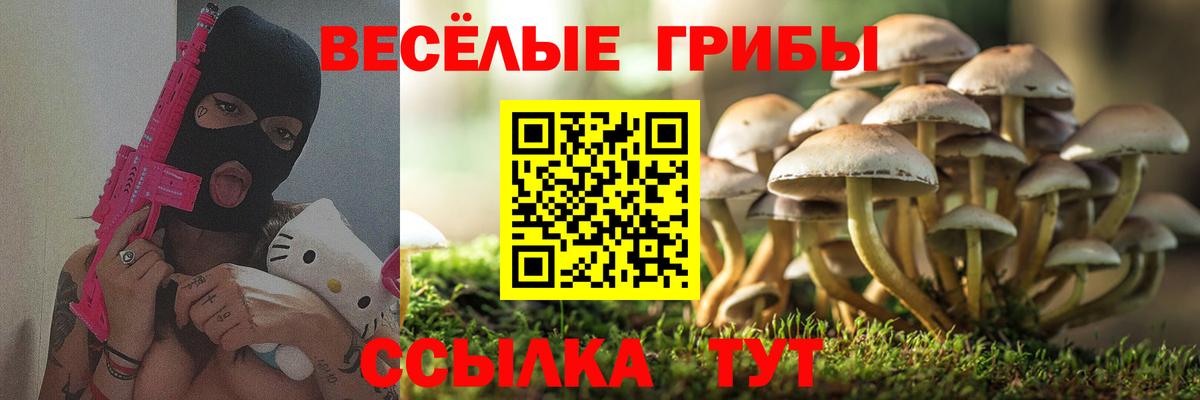 Галлюциногенные грибы Cubensis Краснодар
